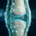 The Daily Dose: Maintenance Protocol